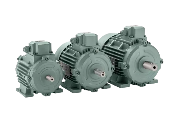 Aeronox Induction Motor Manufacturer in New Delhi
